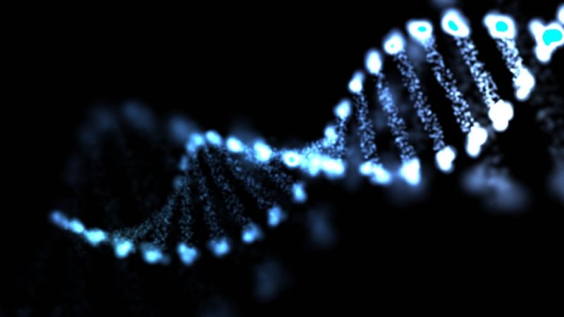 Divák na videomappingu uvidí například příběh DNA (ilustrační foto). Divák na videomappingu uvidí například příběh DNA (ilustrační foto).