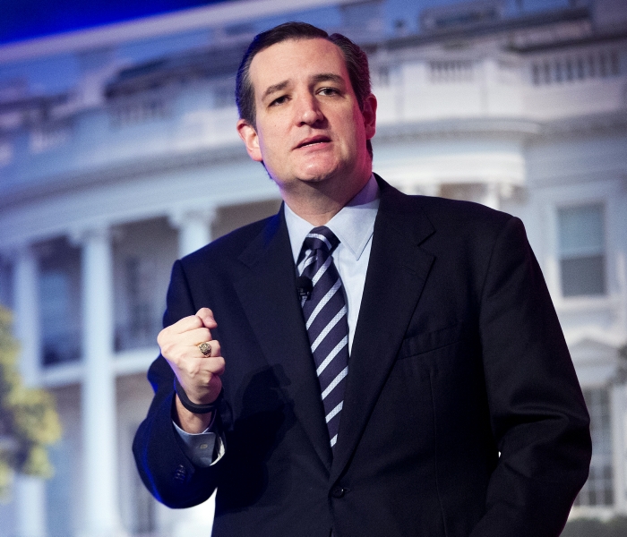 Texaský senátor Ted Cruz.