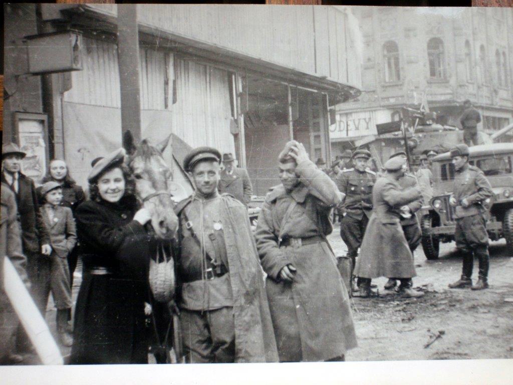 bez popisku 715660