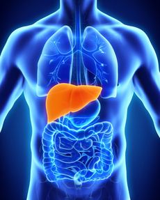 Hepatitida C postupně ničí játra a může dojít až k vykrvácení.