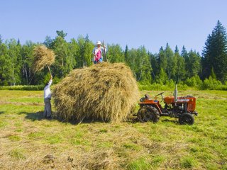 Farmářem na Sibiři.