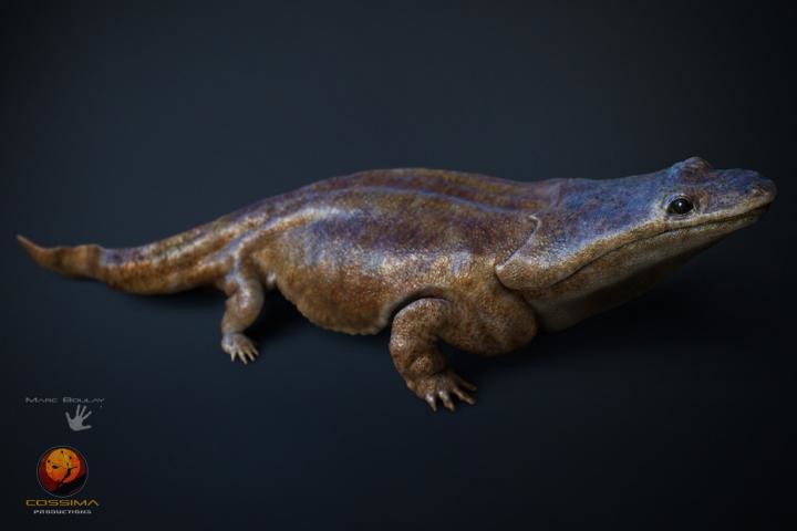 Metoposaurus algarvensis žil na konci období triasu.