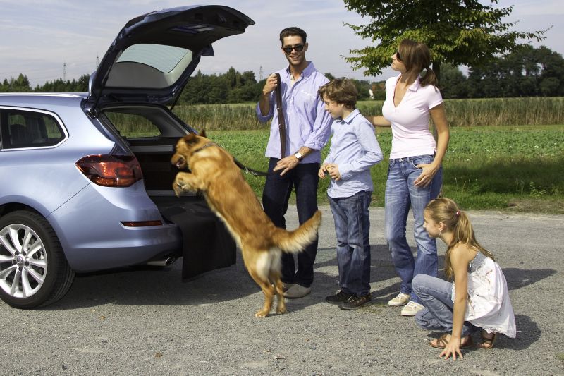 Prodejům nových vozů rodinám dominují značky Škoda a Hyundai (ilustrační foto).