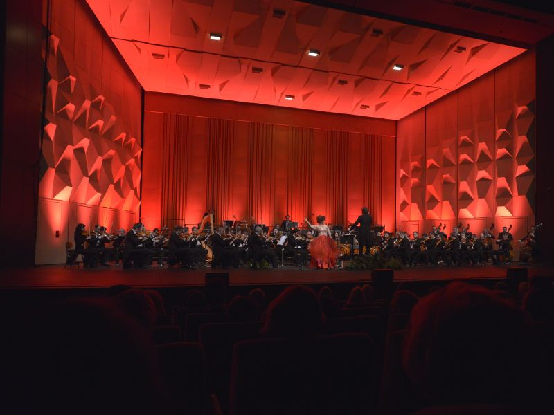 Symfonický orchestr Českého rozhlasu.