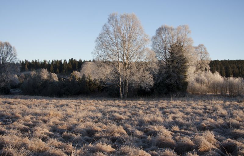 Šumava, Kvilda.