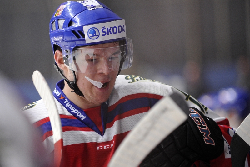 Tomáš Hertl kvituje přístup Jaromíra Jágra.