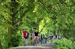 Cyklisté u Hradce Králové.