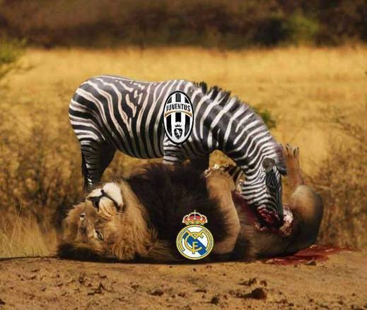 Přirovnání ze světa přírody. Outsider z Juventusu "sežral" favority z Realu Madrid.