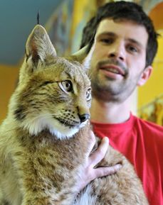 Jednou z hlavních hvězd zooparku je rys Blonďák. Na snímku je i zoolog a kurátor zvěře Jiří Marek.