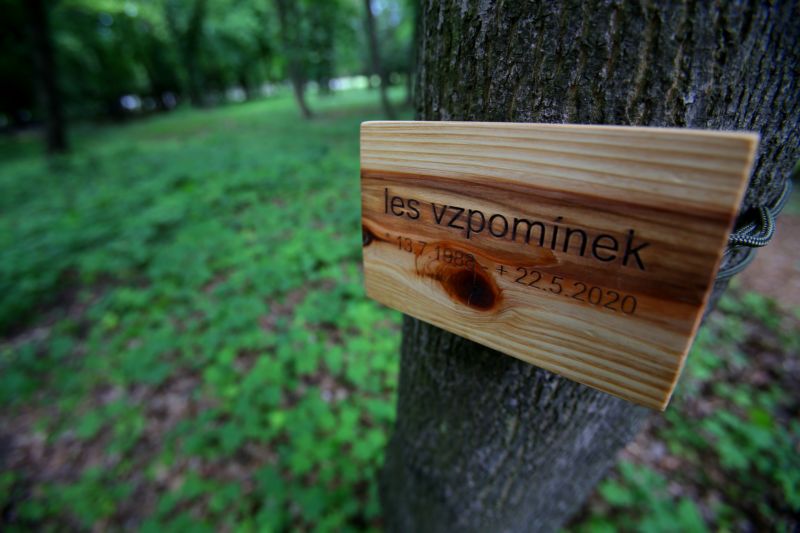 Unikátní přírodní pohřebiště v Ďáblicích nazvané Les vzpomínek. Unikátní přírodní pohřebiště v Ďáblicích nazvané Les vzpomínek.