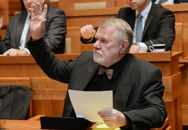 Europoslanec Jaromír Štětina chce zejména bojovat proti ruské propagandě.