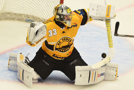 Brankář Pavel Francouz.