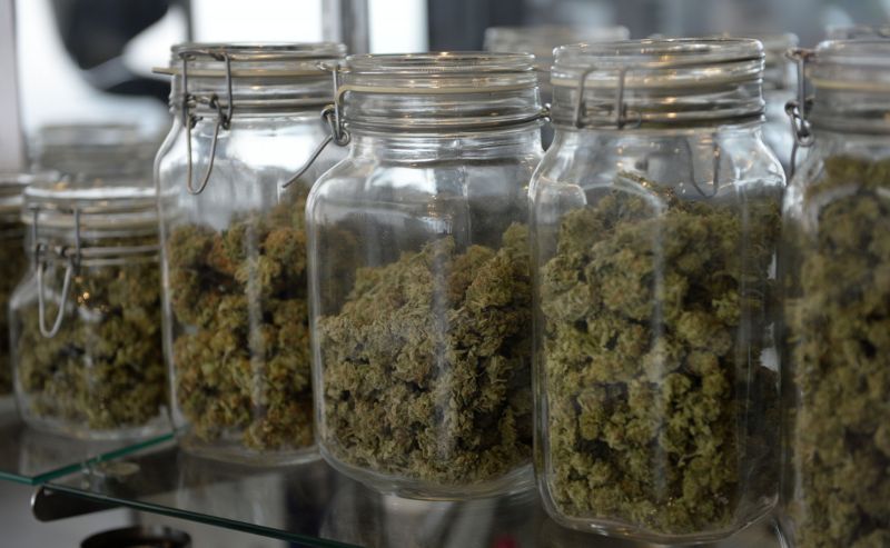 Zásah detektivů proti provozovatelům growshopů se obchodu s marihuanou výrazně nedotkl (ilustrační foto).