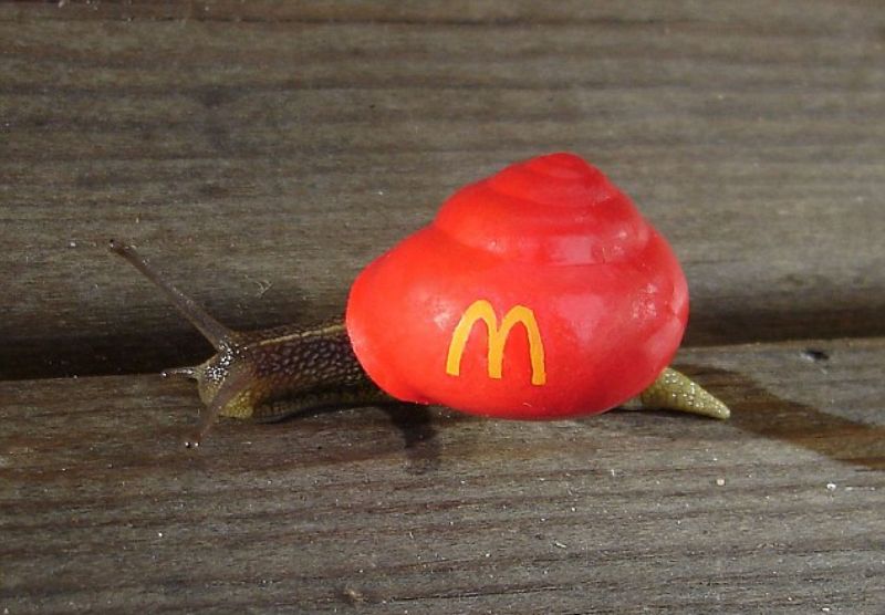 Šnečí McDonalds.