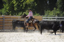 Mitrovský dvůr hostí rodeové závody a tradiční farmářské trhy.