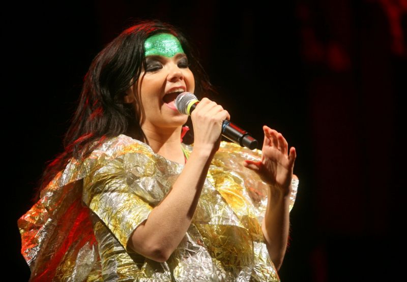 Islandská zpěvačka Björk.