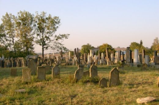 Náhrobky nedaleko židovské holešovské synagogy v počtu 1500 jsou rozptýleny po celé ploše, přičemž nejznámější dochovaný identifikovaný náhrobek pochází z r. 1646.