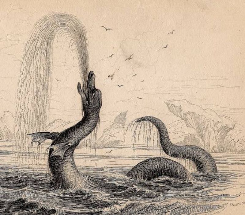 Kresba lochnesky z roku 1838.