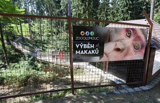 Průchozí výběh pro makaky patří k hlavním atrakcím zoo.