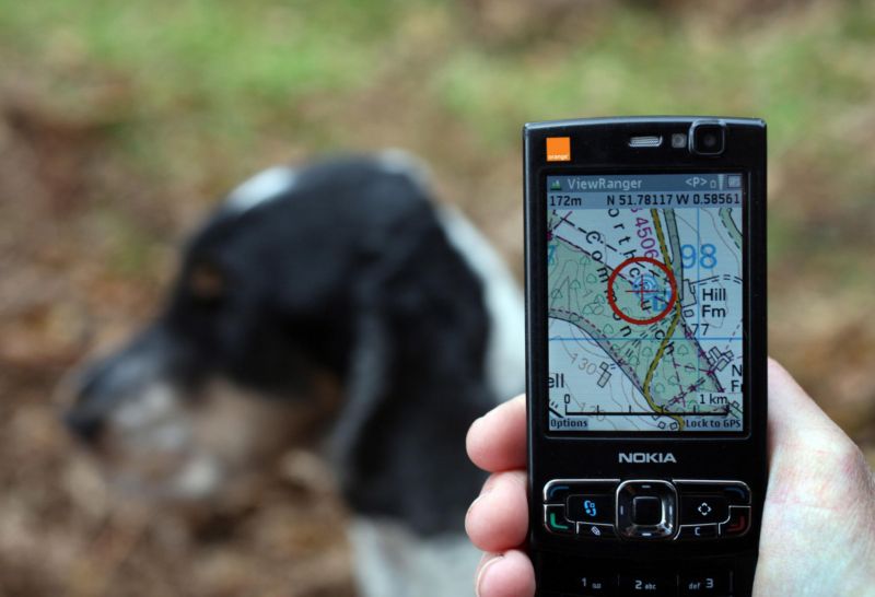 Domácím mazlíčkům lze pořídit obojek s GPS či webkamerou. 