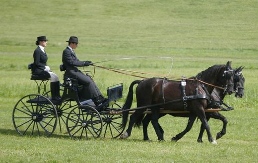 V Humpolci bude probíhat finále seriálu závodů Zlatá podkova.