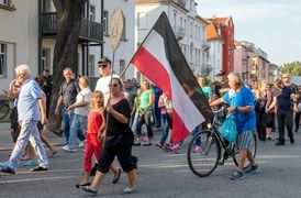 Při pochodech demonstrantů se objevovaly také vlajky Německé říše používané do poloviny třicátých let.