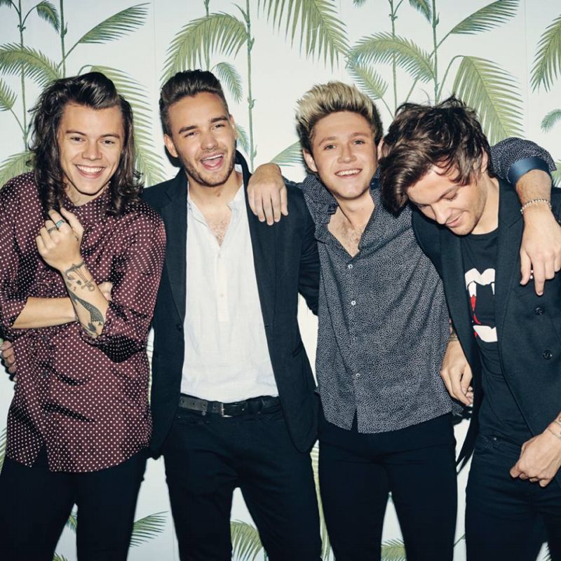 Chlapci ze skupiny One Direction. Chlapci ze skupiny One Direction.