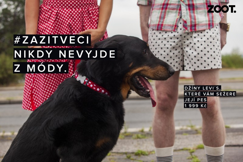 Zoot.cz