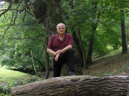 Reiki léčí nejen bolest, ale i její příčiny.