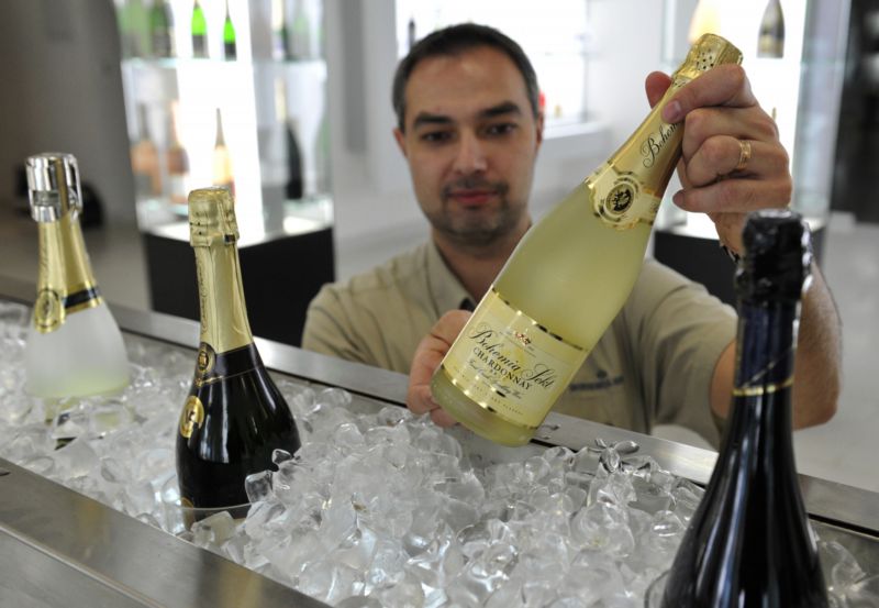 Mezi nejúspěšnější česká a moravská vína patřila Bohemia sekt, Vinselekt Michlovský a Vinařství Štěpán Maňák. Mezi nejúspěšnější česká a moravská vína patřila Bohemia sekt, Vinselekt Michlovský a Vinařství Štěpán Maňák.