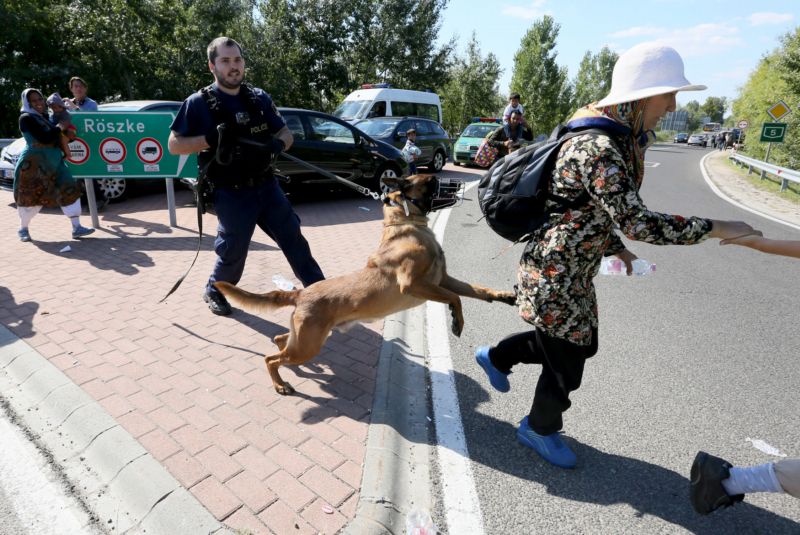 Policejní pes a uprchlík (ilustrační foto).