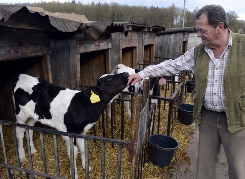 Nízká výkupní cena mléka se dotkla všech farmářů v EU (ilustrační foto).