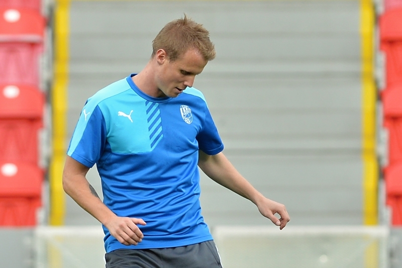 David Limberský.