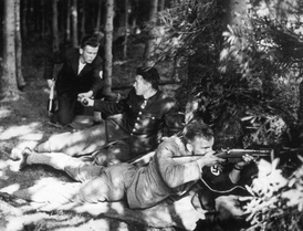 Z řad henleinovců byly vytvořeny silné ozbrojené skupiny cvičené ve zbrani podle vzoru SS. Tito fašisté teorizovali české obyvatelstvo a německé antifašisty v pohraničních krajích.