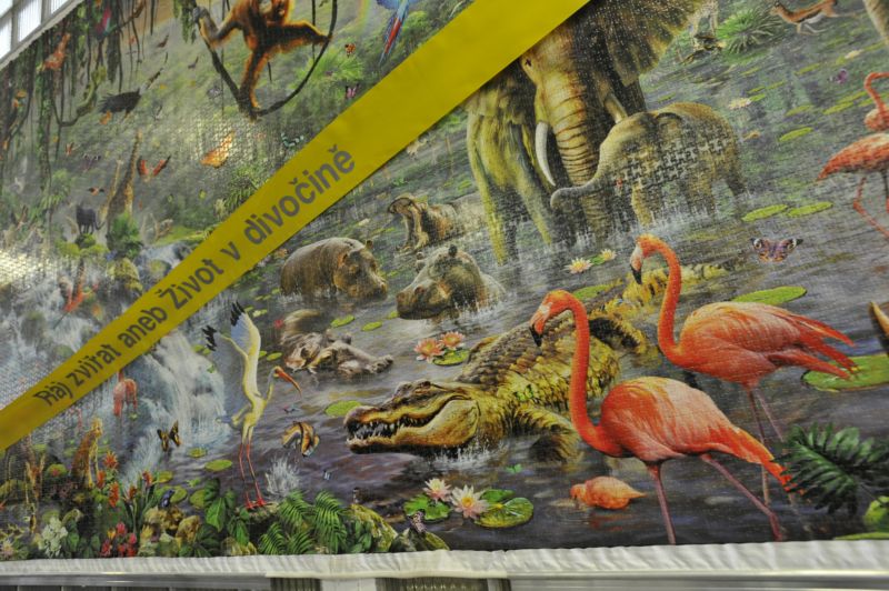 Puzzle v brněnské dětské nemocnici se skládá z více než 33 dílků.