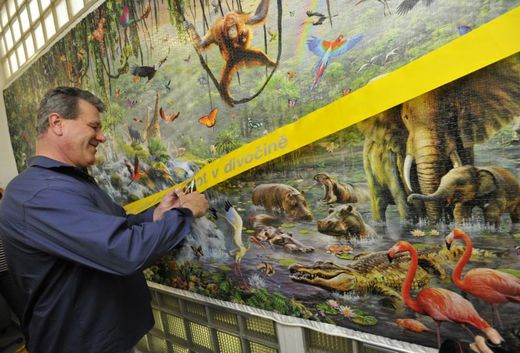 Petr Janíček puzzle skládal déle než rok.