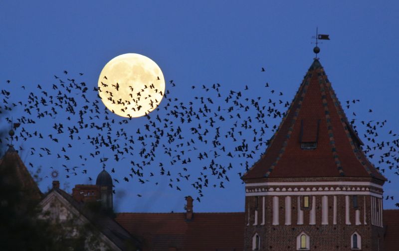 Superúplněk sledovala celá severní polokoule.