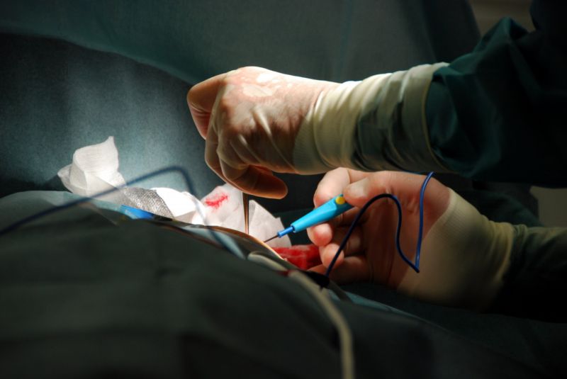 První transplantaci srdce v IKEM provedli lékaři v roce 1984. První transplantaci srdce v IKEM provedli lékaři v roce 1984.