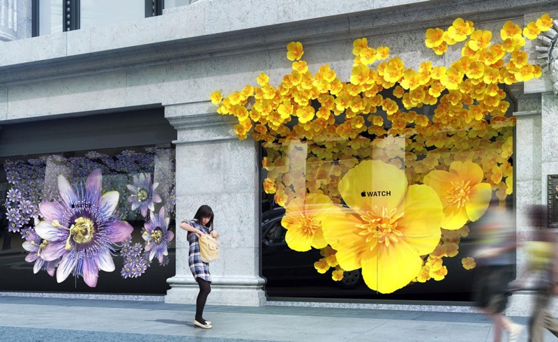 Výlohy s Apple Watch v londýnském Selfridges.