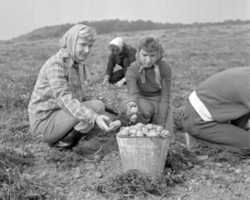 Žáci dvanáctileté střední školy v Praze-Vršovicích (1959).