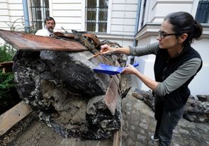 Torzo třetihorního stromového velikána objevili na jaře během těžby v meziloží uhelné sloje.