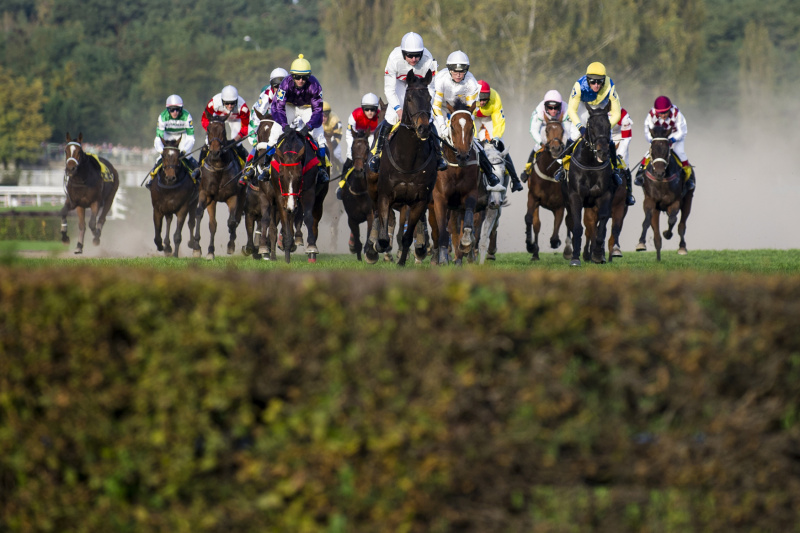 Velká pardubická.