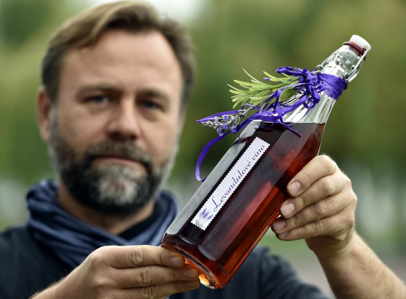 Letos získal Marcinčák na svůj originální nápad patent.