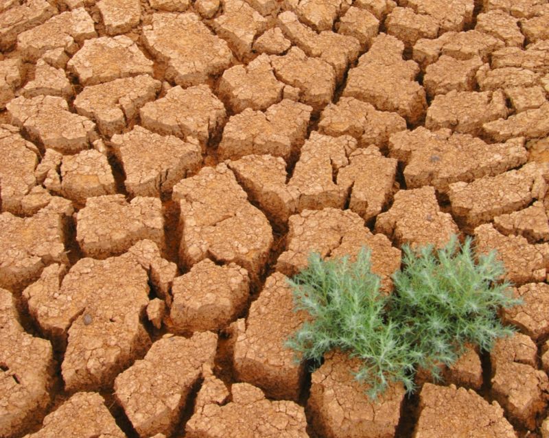 Většina Čechů se domnívá, že během klimatické změny dochází k vymírání druhů, nárůstu povodní a vln veder či sucha. Většina Čechů se domnívá, že během klimatické změny dochází k vymírání druhů, nárůstu povodní a vln veder či sucha.