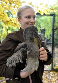 Zaměstnanci zlínské zoo musí přesunout asi stovku ptáků a několik menších savců.