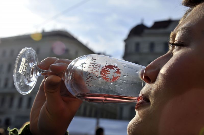 Na trh letos půjde nejvíce vín za desetiletou historii. Na trh letos půjde nejvíce vín za desetiletou historii.