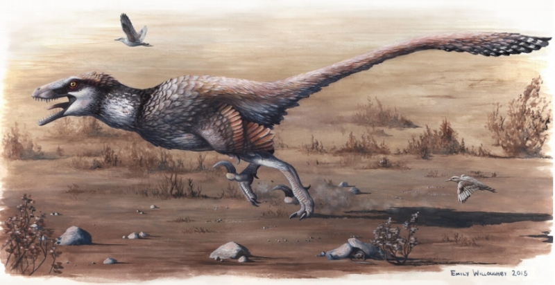Nový dinosaurus Dakotaraptor steini.