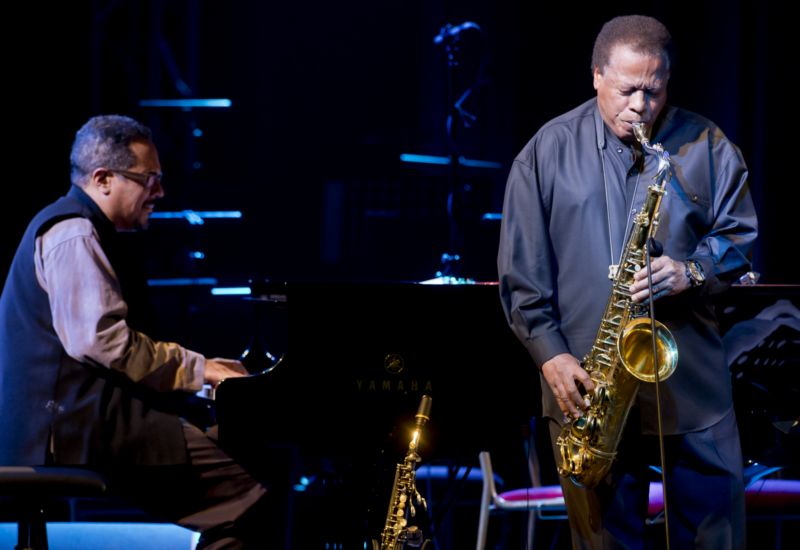 Saxofonista Wayne Shorter patří k žijícím legendám jazzu. Saxofonista Wayne Shorter patří k žijícím legendám jazzu.