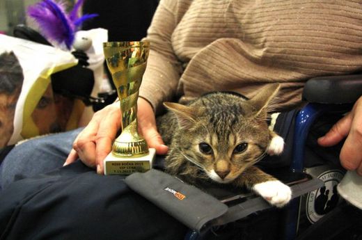 VIP cenu získal handicapovaný Honzík.