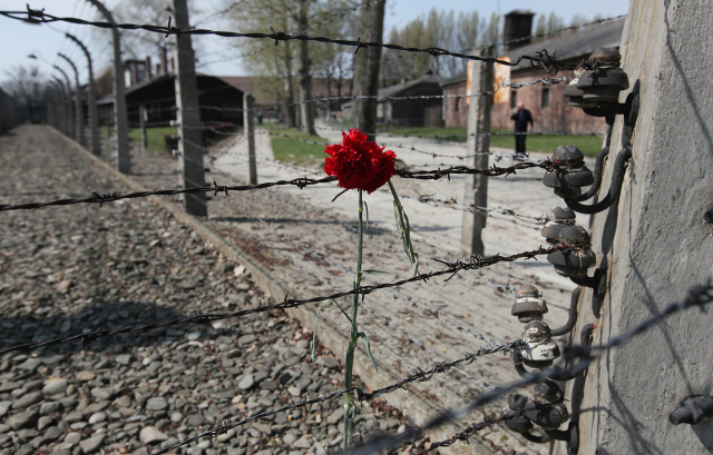 Tábor Birkenau v Osvětimi (ilustrační foto).